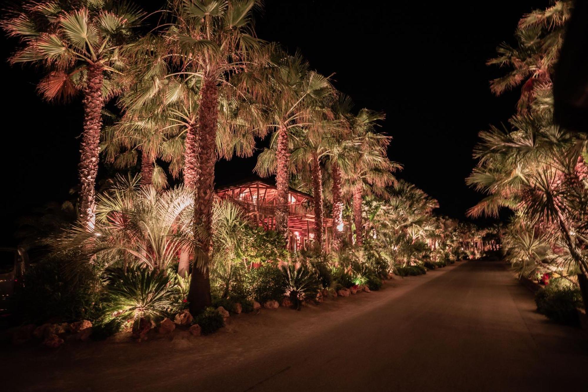 Toison D'Or Hotel Ramatuelle Eksteriør billede The Desert Botanical Gardens at night