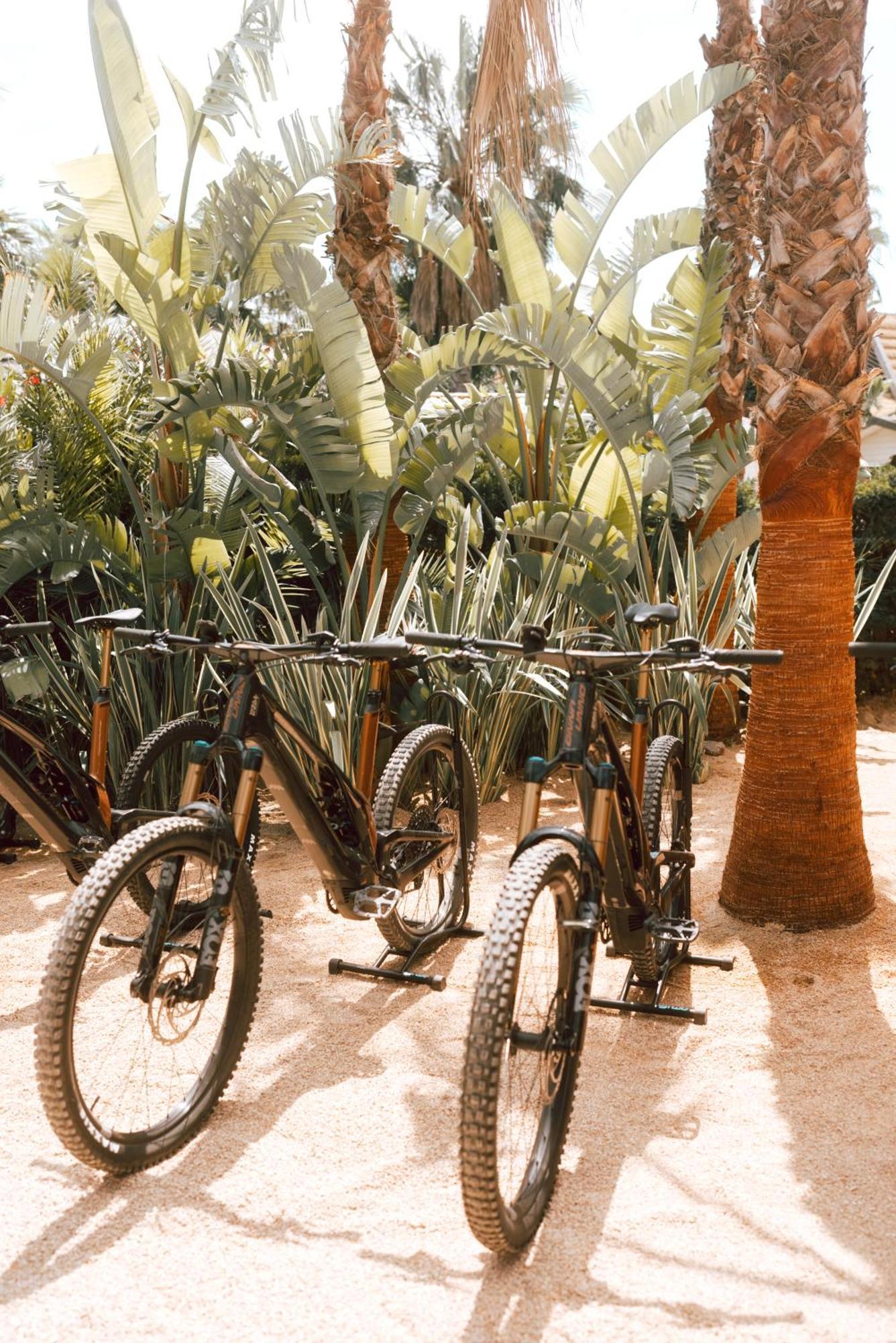 Toison D'Or Hotel Ramatuelle Eksteriør billede Bicycles at the Desert Botanical Gardens