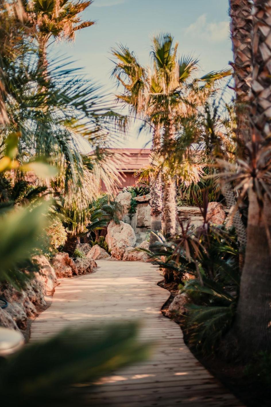 Toison D'Or Hotel Ramatuelle Eksteriør billede The Palm House